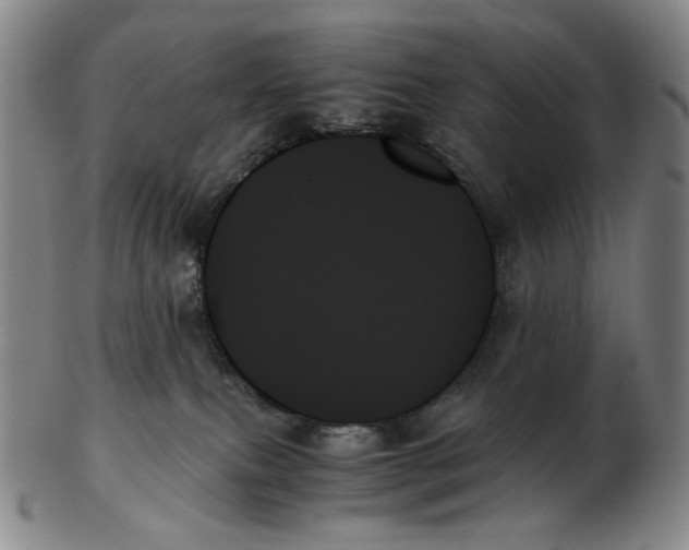 X0000103130087200809121741
