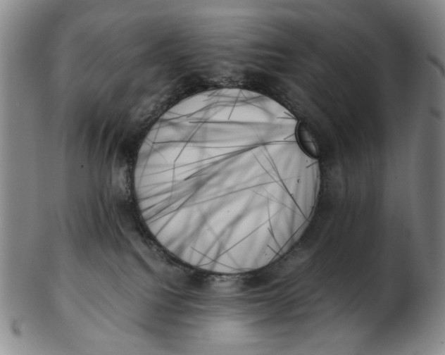 X0000103130088200809121741
