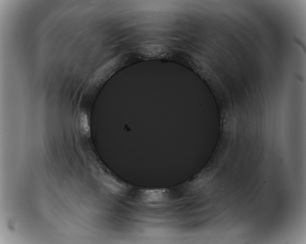 X0000103130089200809121741