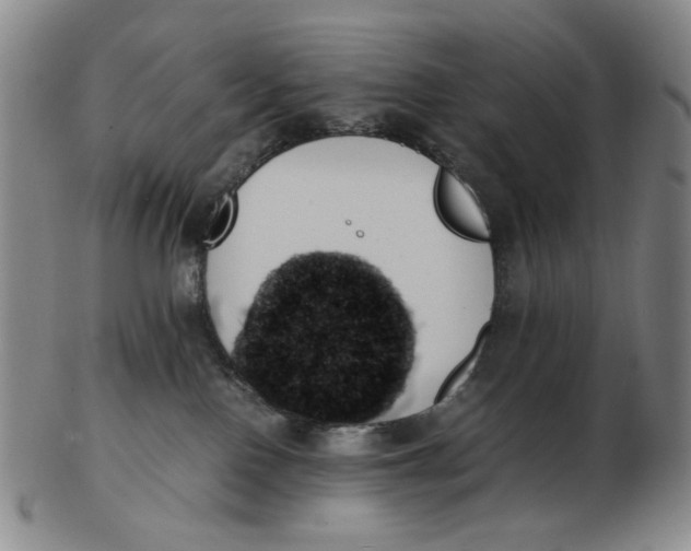 X0000103130090200809121741