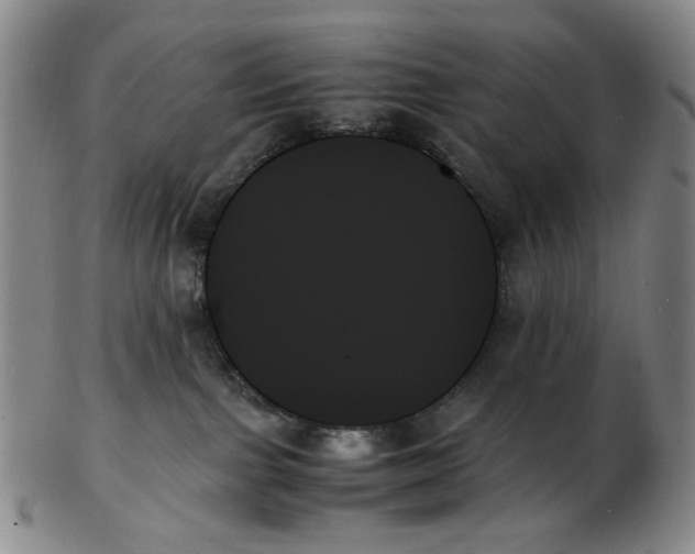 X0000103130091200809121741