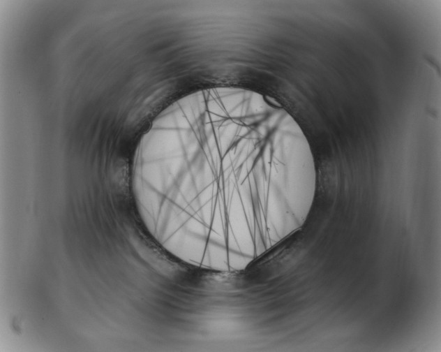 X0000103130092200809121741