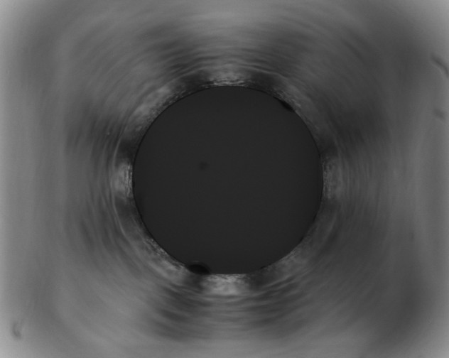 X0000103130093200809121741
