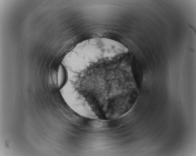 X0000103130094200809121741