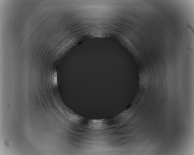 X0000103130095200809121741