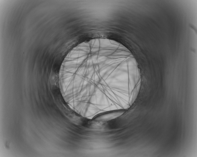 X0000103130096200809121741