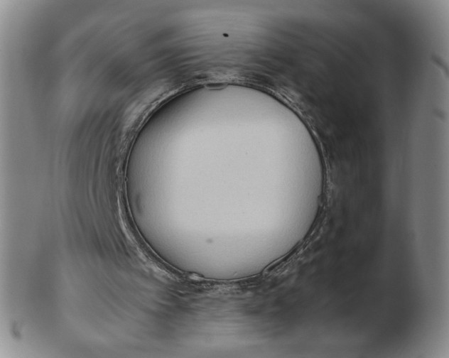 X0000103130097200809121740