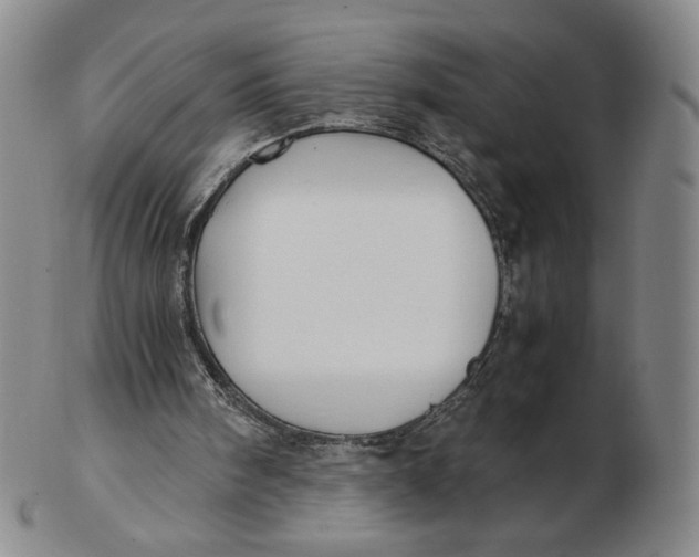 X0000103130098200809121740