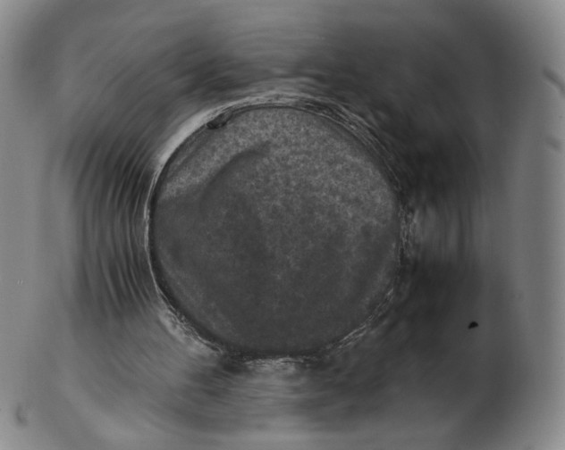 X0000103130100200809121740