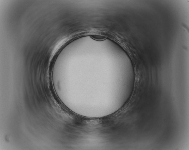 X0000103130102200809121740