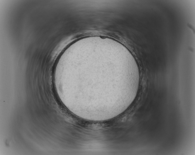 X0000103130103200809121740
