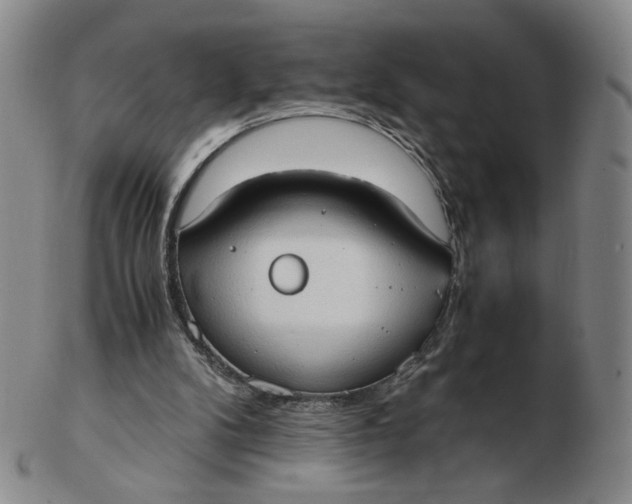 X0000103130104200809121740
