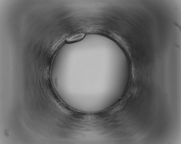 X0000103130105200809121740