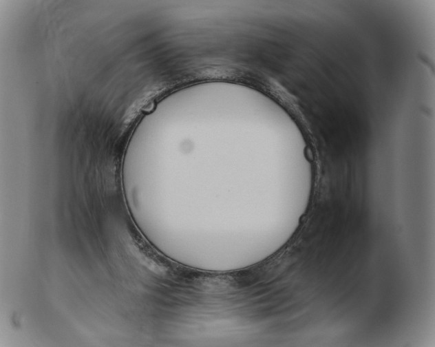X0000103130106200809121740