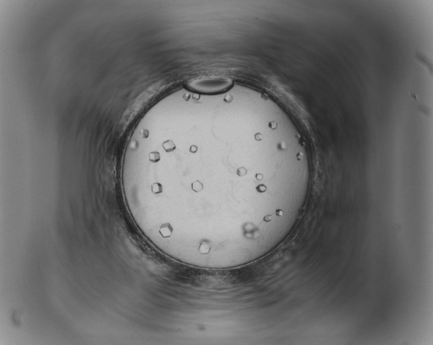 X0000103130107200809121740