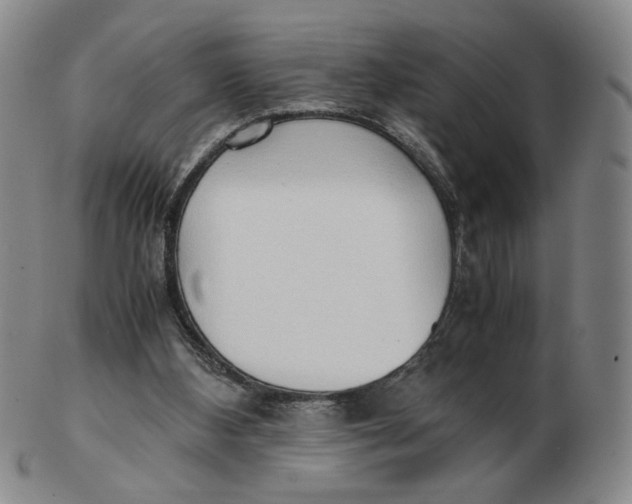 X0000103130108200809121740