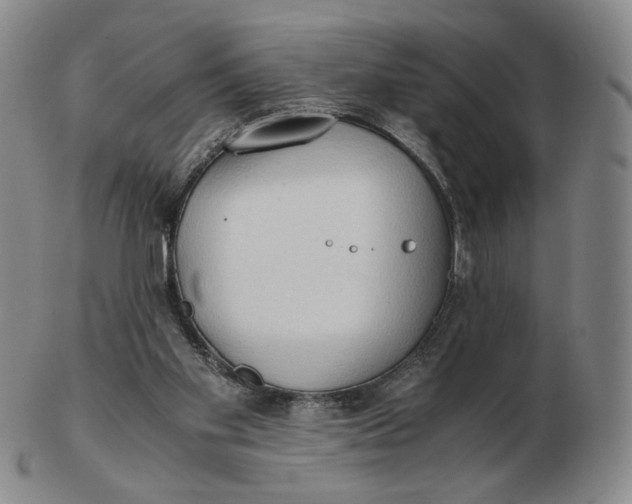 X0000103130109200809121740