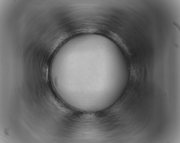 X0000103130110200809121740