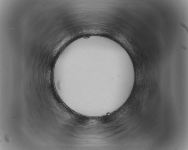 X0000103130111200809121740