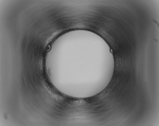 X0000103130112200809121740
