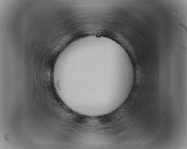 X0000103130113200809121740