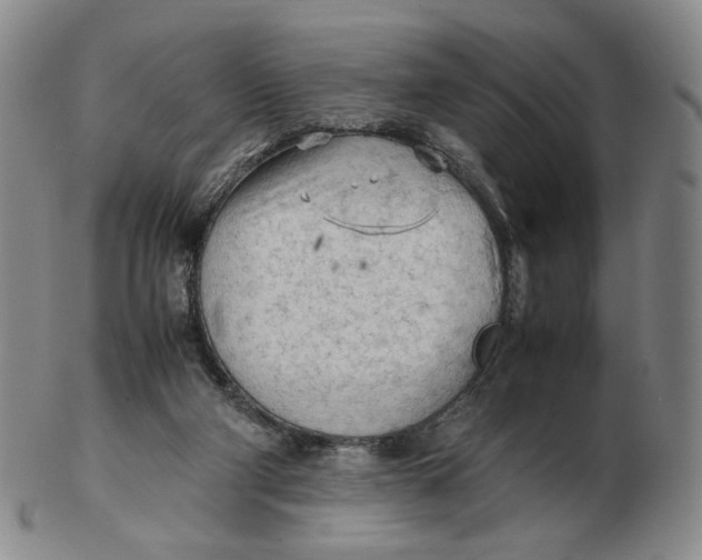 X0000103130114200809121740
