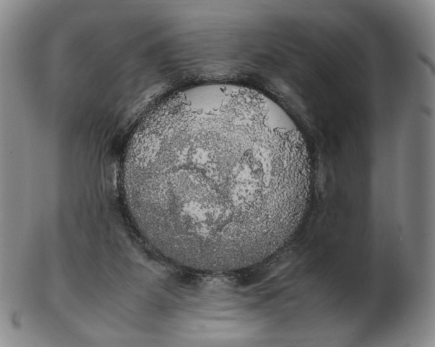 X0000103130115200809121740