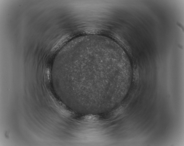 X0000103130117200809121740