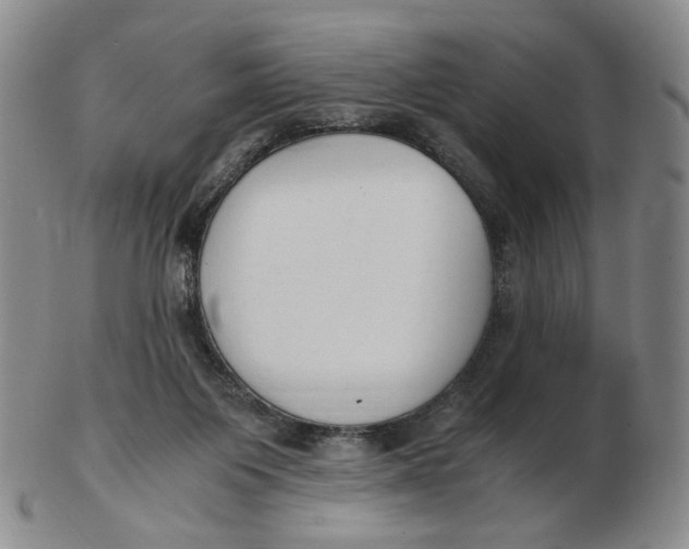 X0000103130119200809121740