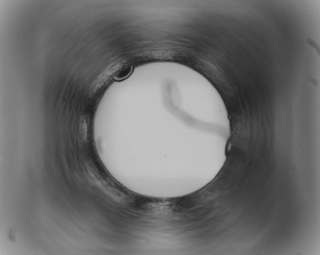 X0000103130120200809121740