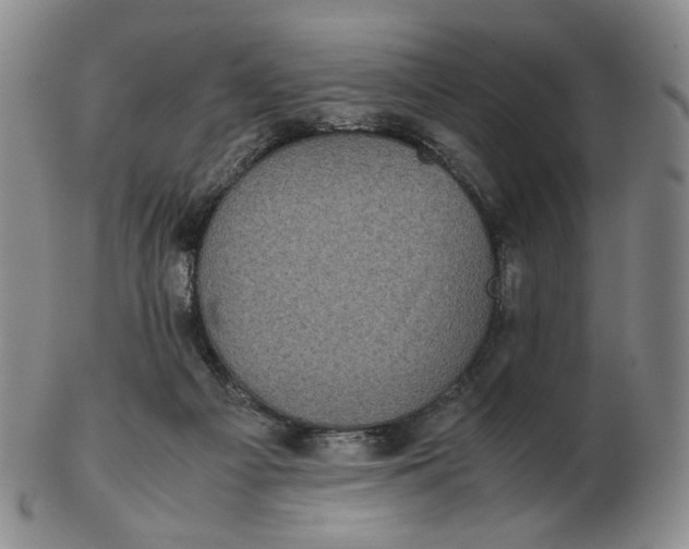 X0000103130121200809121740