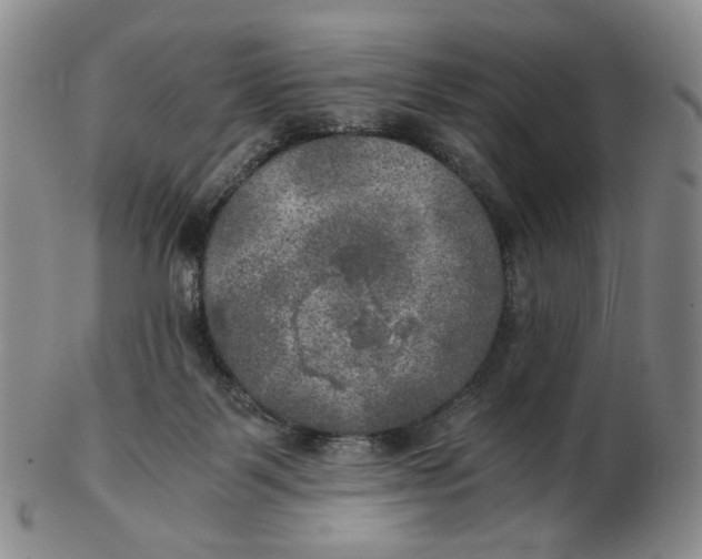 X0000103130123200809121740
