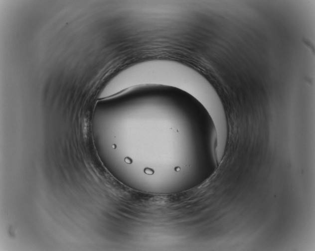 X0000103130124200809121740