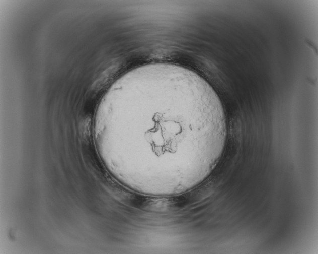 X0000103130127200809121740