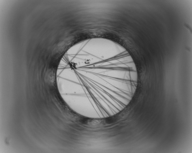 X0000103130129200809121740