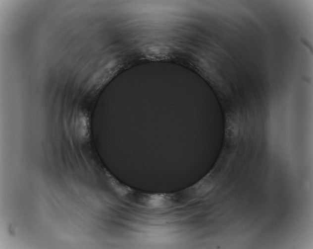 X0000103130130200809121740