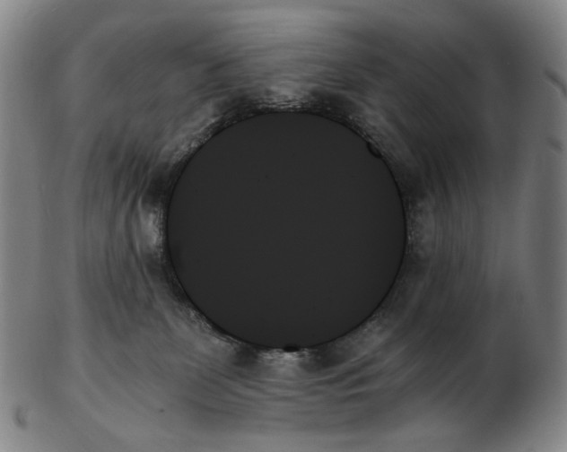X0000103130131200809121740