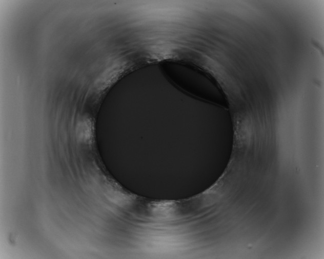 X0000103130132200809121740