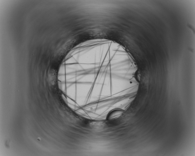 X0000103130133200809121740