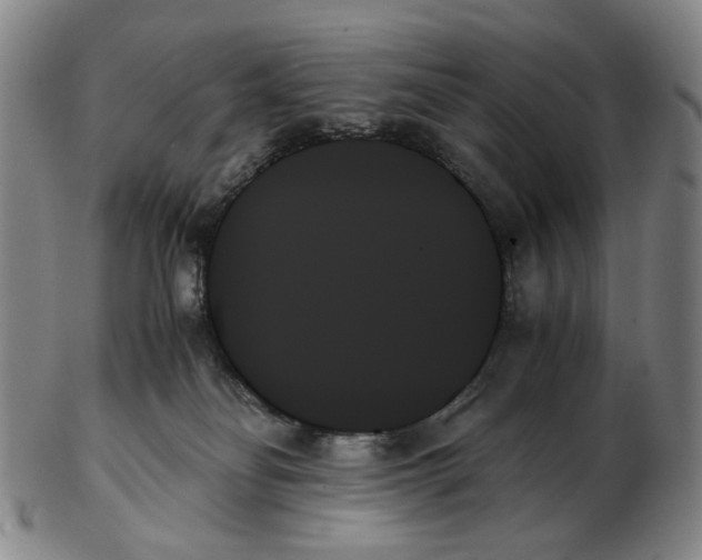 X0000103130134200809121740