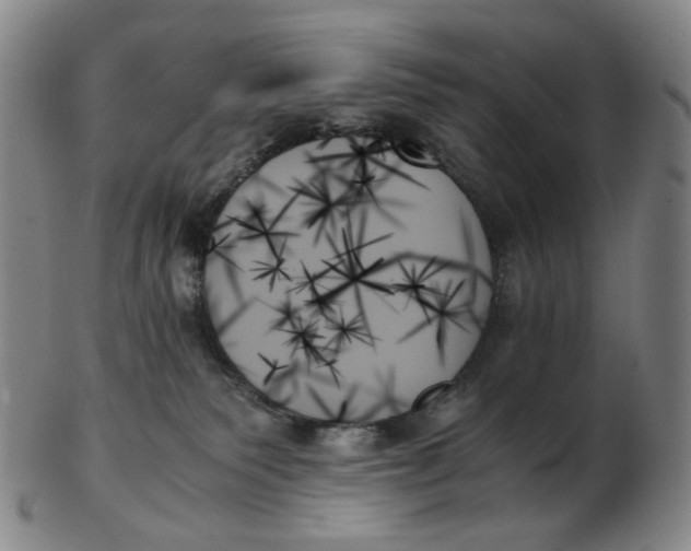 X0000103130135200809121740