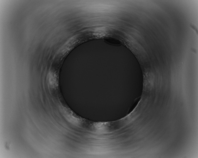 X0000103130136200809121740