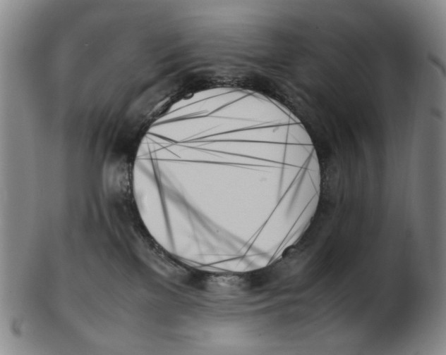 X0000103130137200809121740
