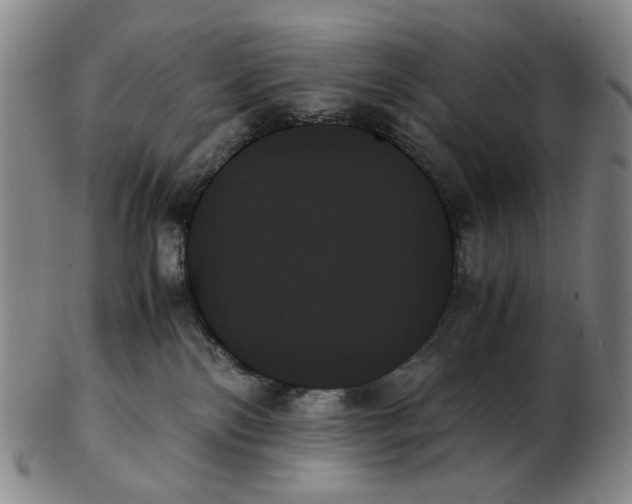 X0000103130138200809121740