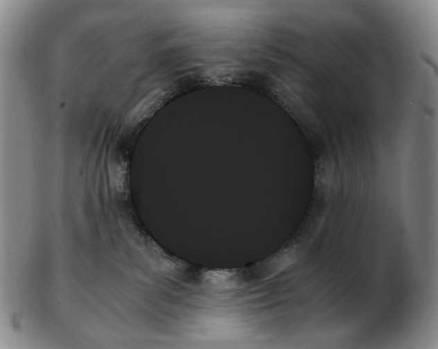 X0000103130139200809121740