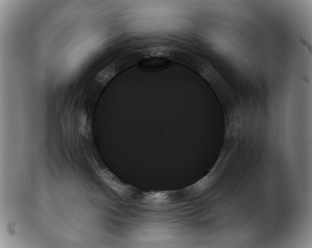 X0000103130140200809121740