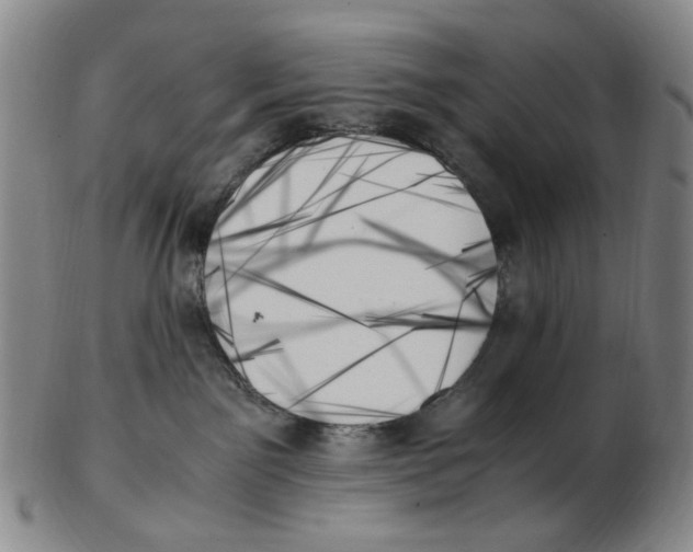 X0000103130141200809121740
