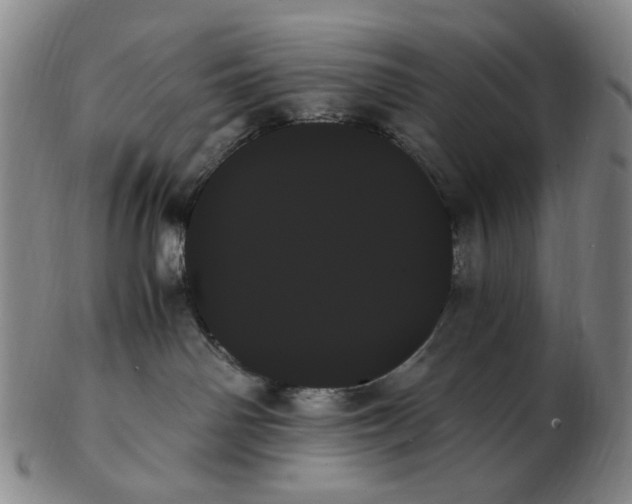 X0000103130142200809121740
