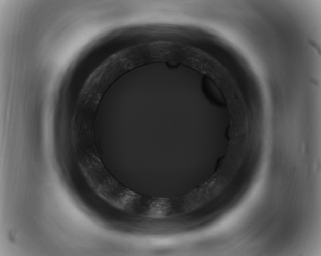 X0000103130143200809121740