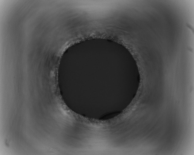 X0000103130144200809121740